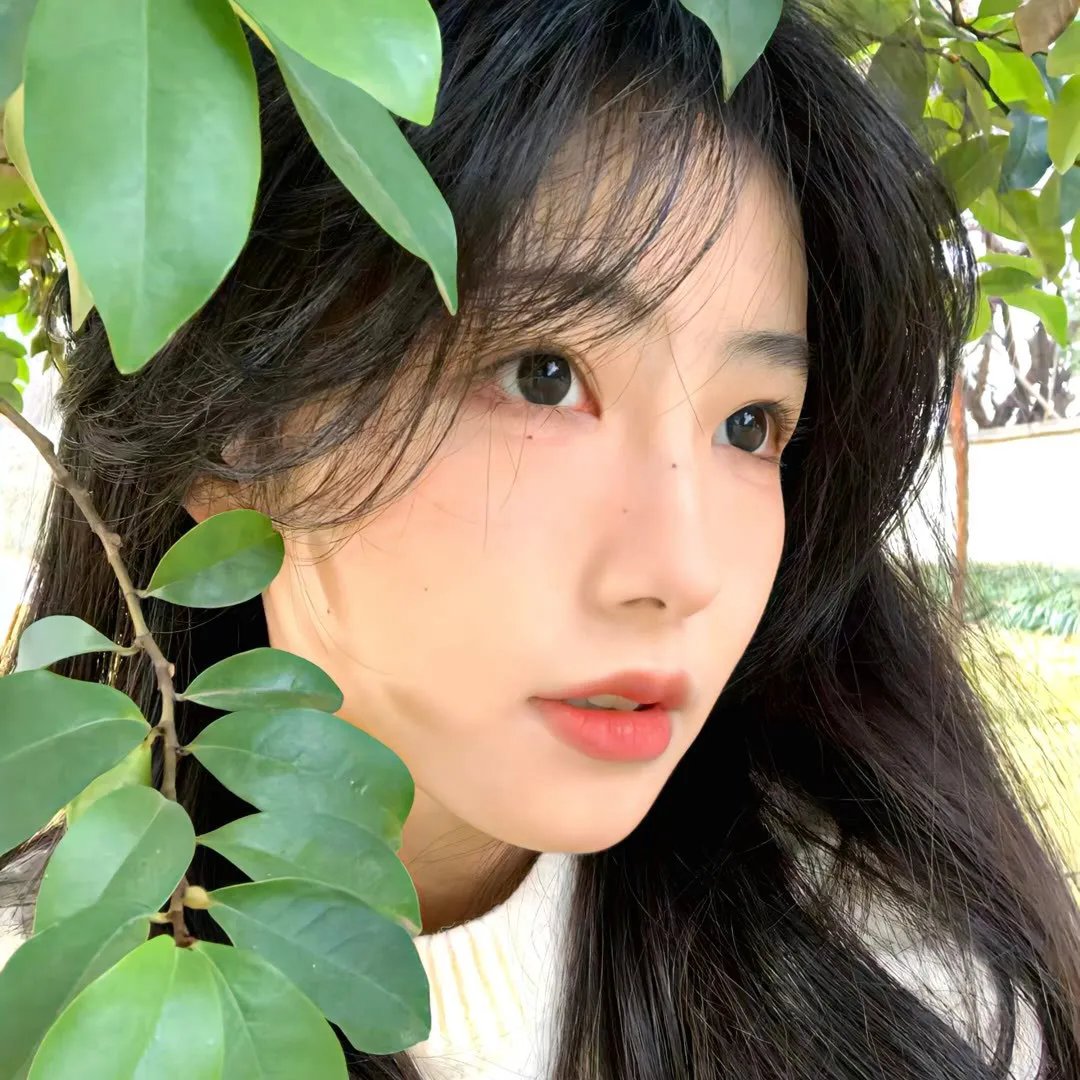 杰克兔